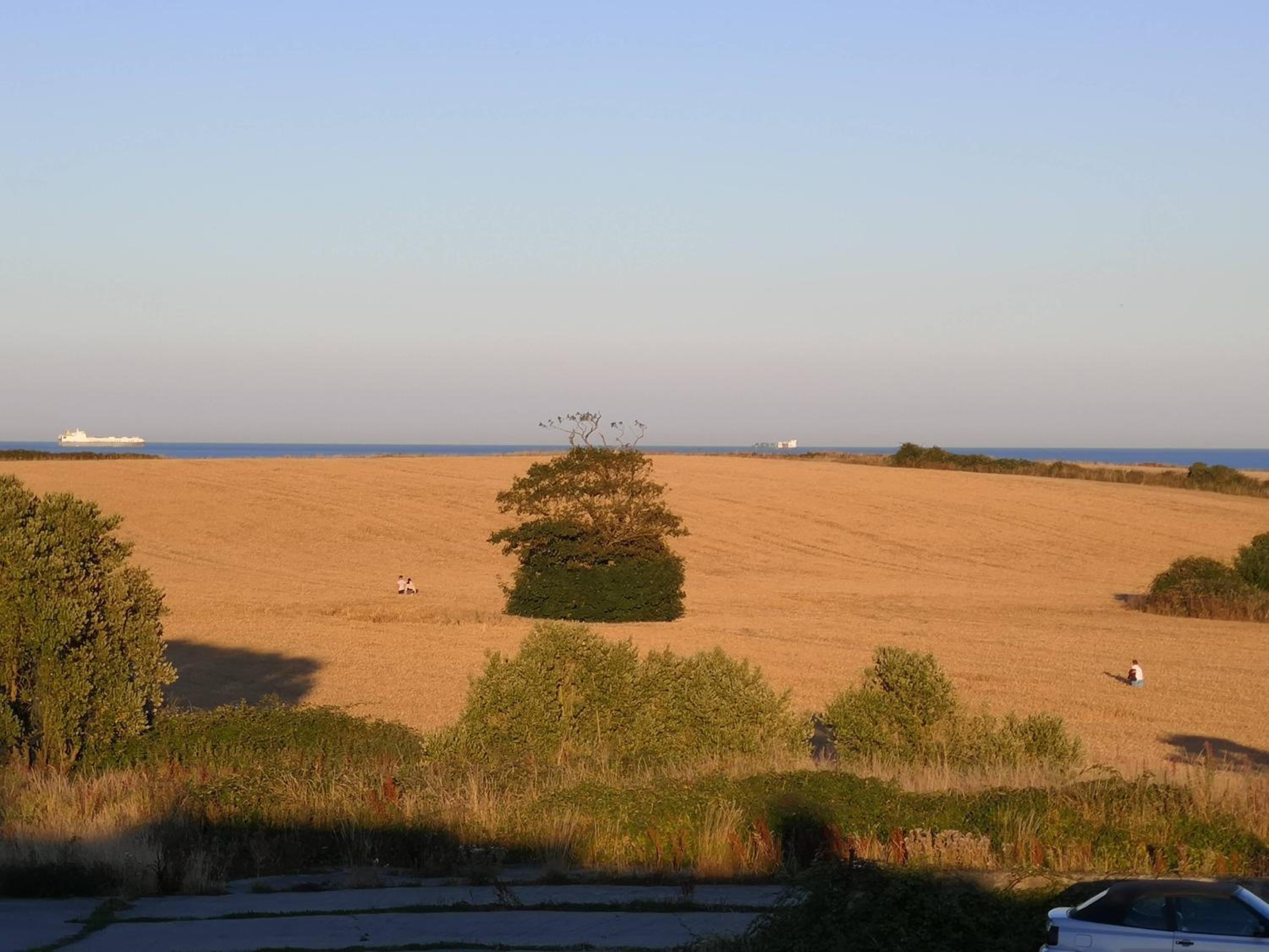 Sunriseview Cottages