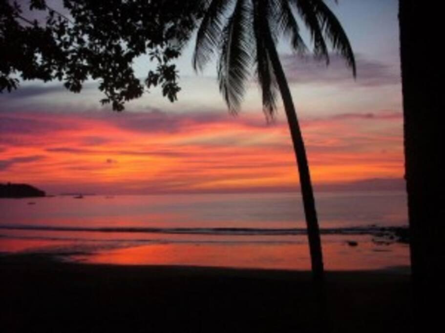 Drake Bay Cabina - ON THE BEACH - La Joyita