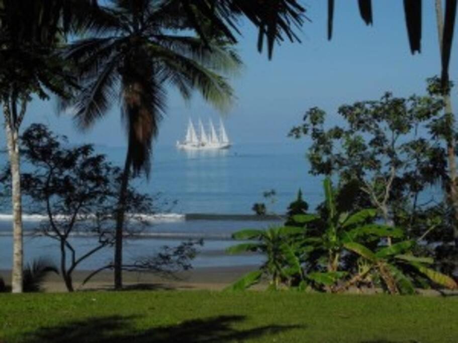 Drake Bay Cabina - ON THE BEACH - La Joyita