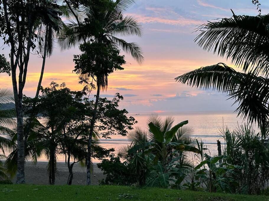 Drake Bay Cabina - ON THE BEACH - La Joyita