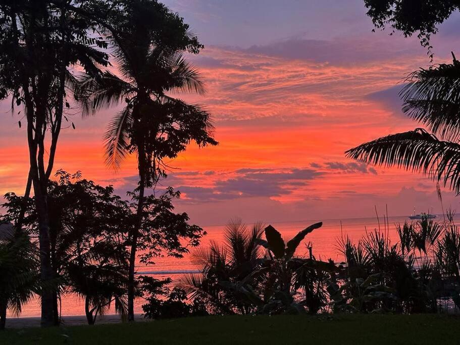 Drake Bay Cabina - ON THE BEACH - La Joyita
