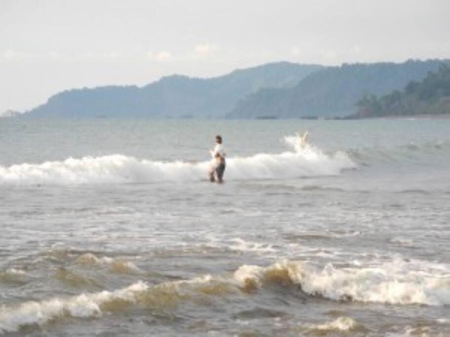 Drake Bay Cabina - ON THE BEACH - La Joyita