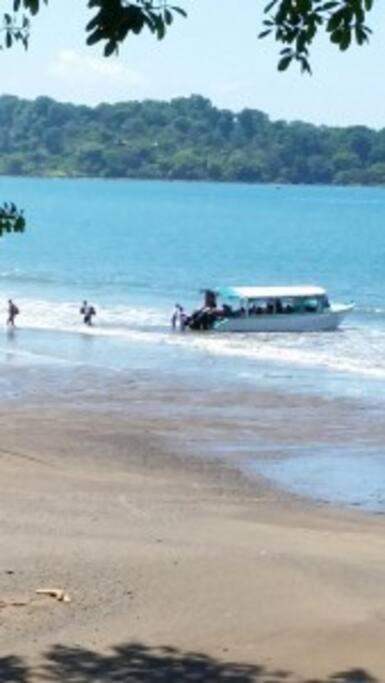 Drake Bay Cabina - ON THE BEACH - La Joyita