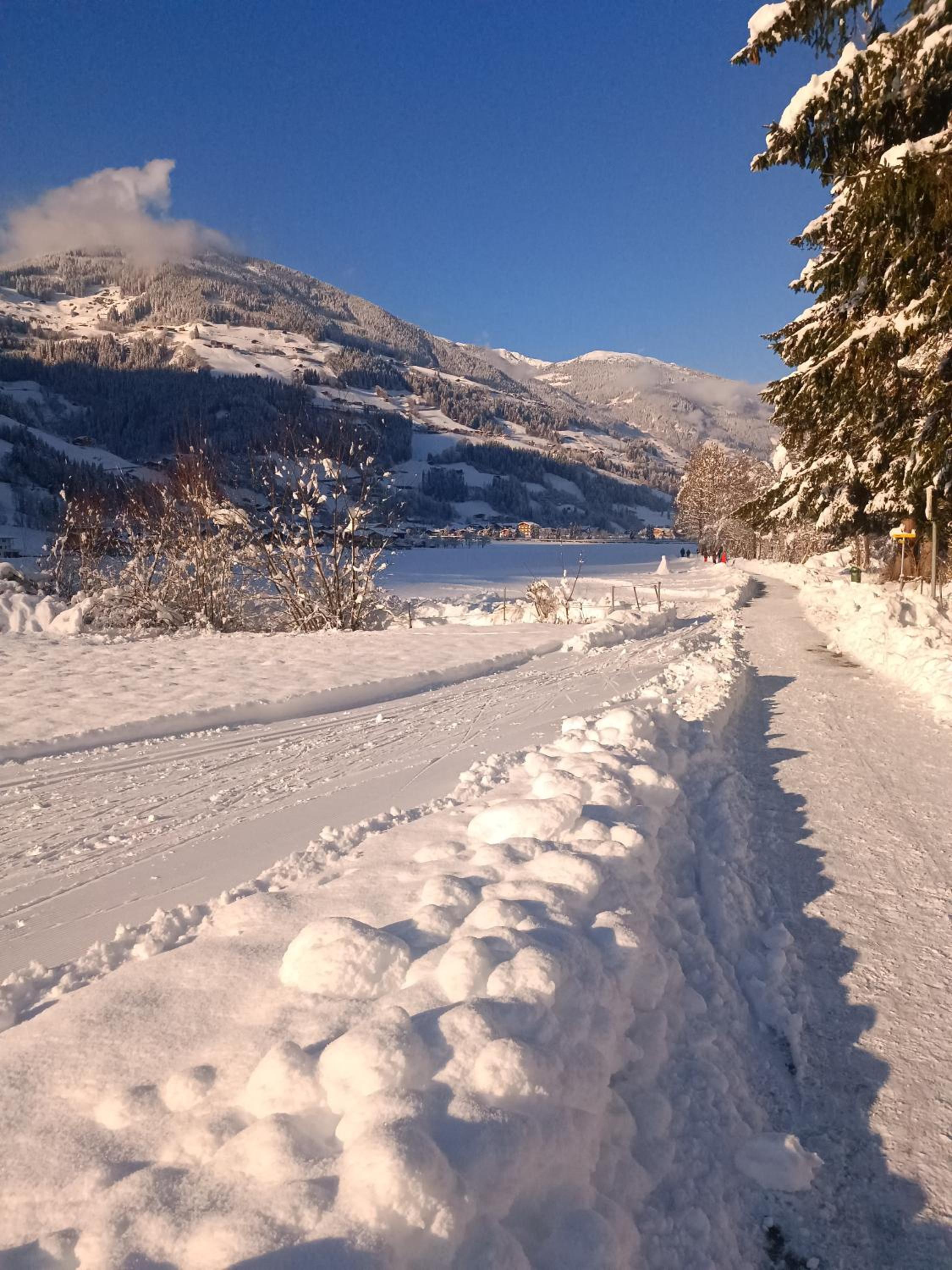 Alpenoase Horbergbahn