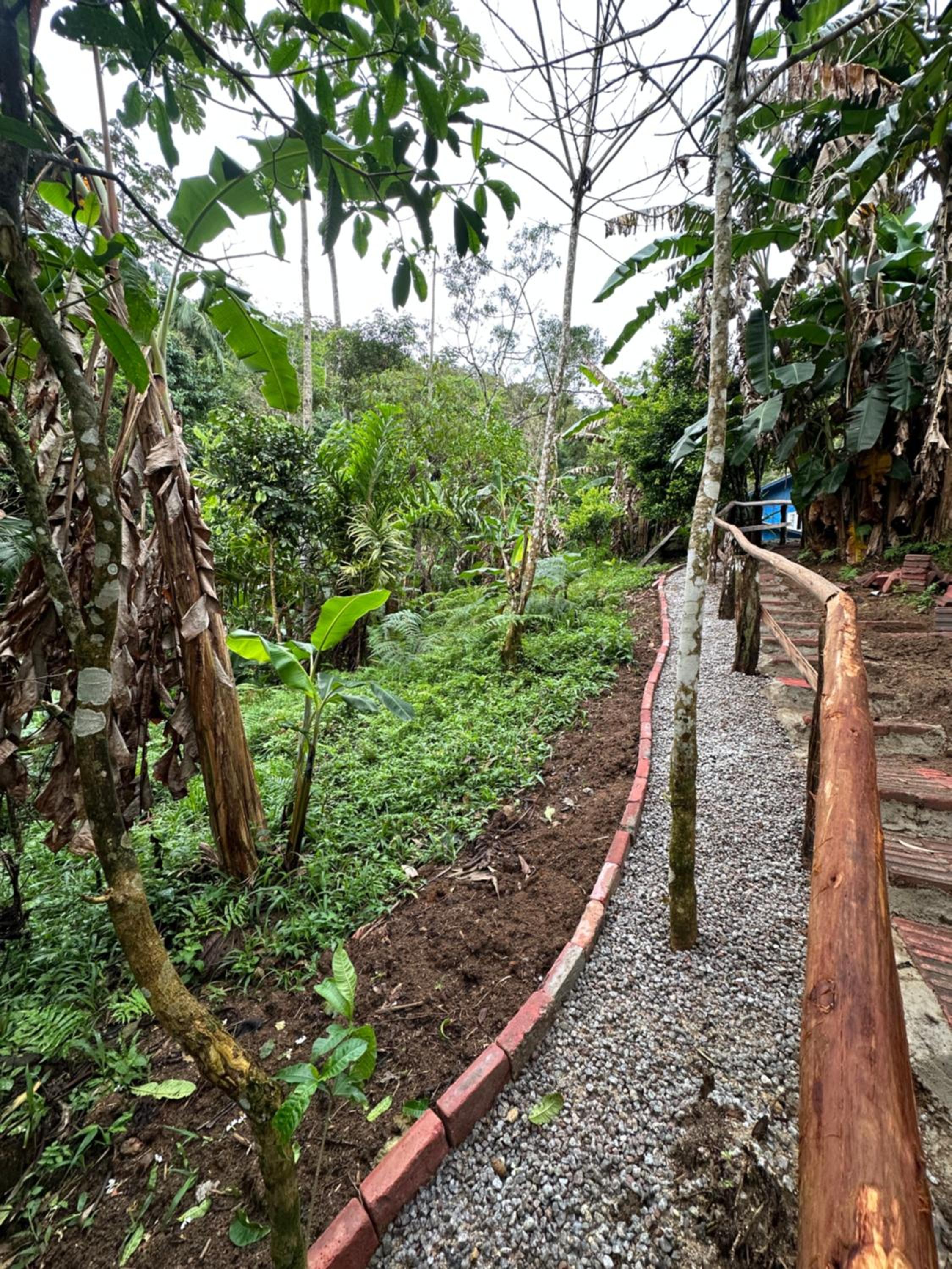 Vila dos pássaros, casa completa