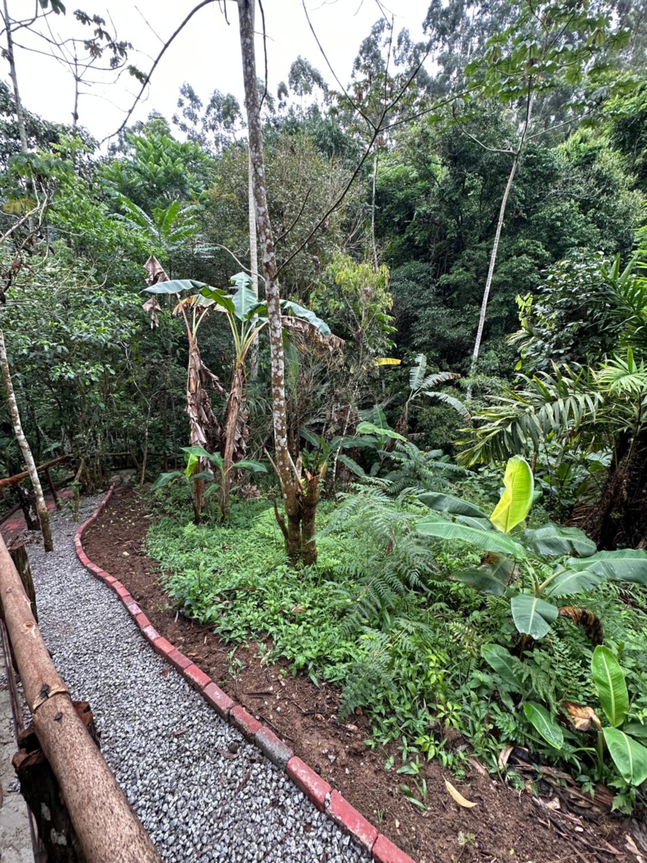 Vila dos pássaros, casa completa
