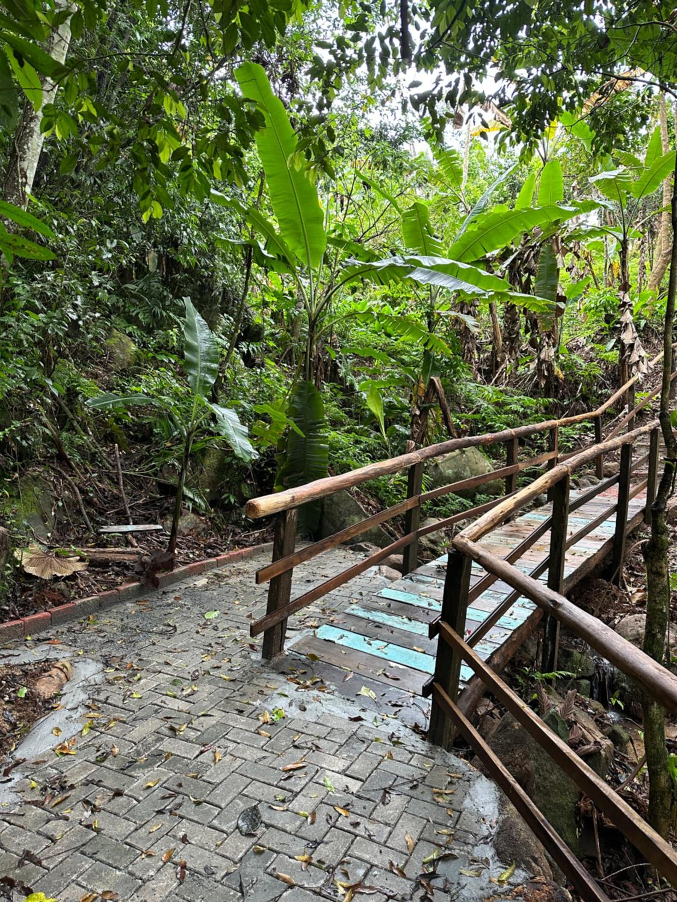 Vila dos pássaros, casa completa