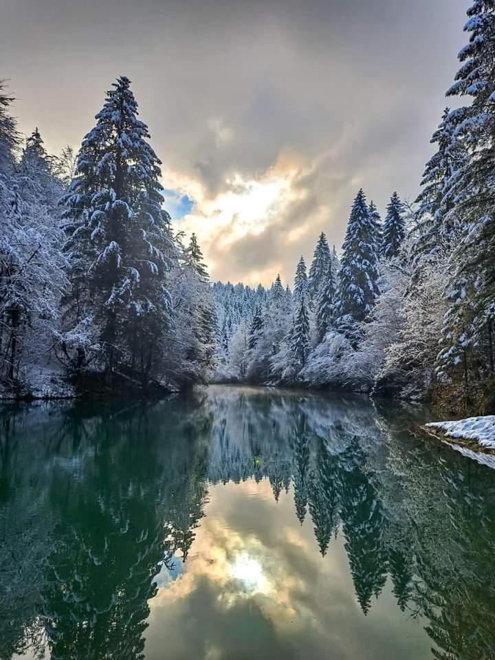 Dvije lipe