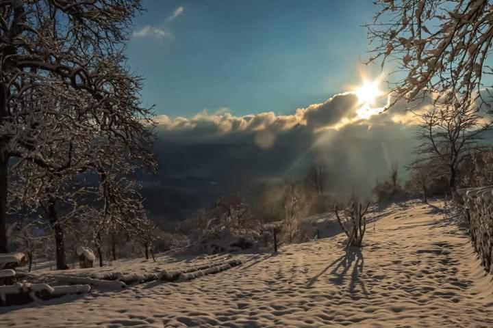 Dvije lipe