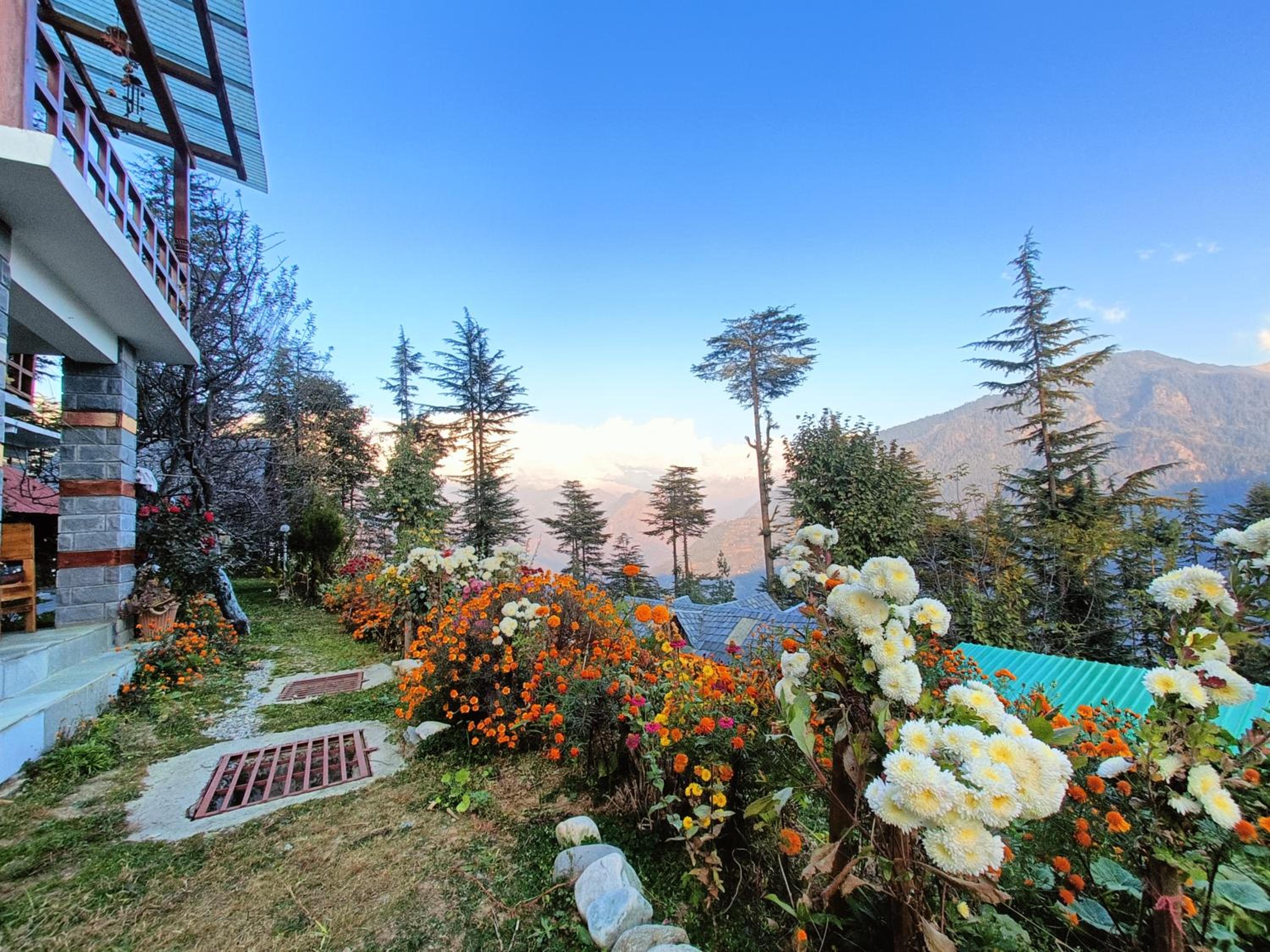 Ishan Log Huts- A Boutique Homestay-since 1999 view 3