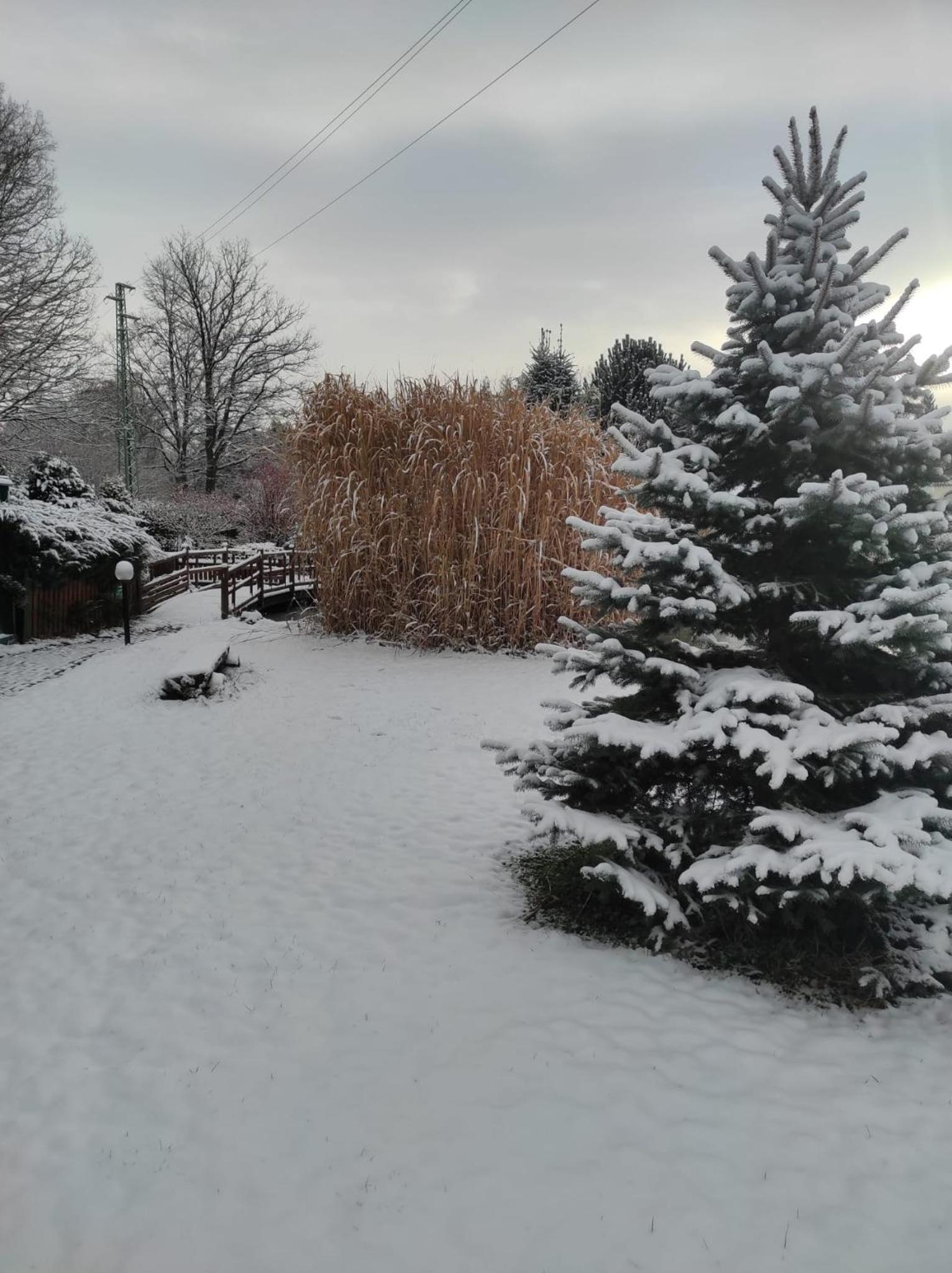 Penzion Kosky