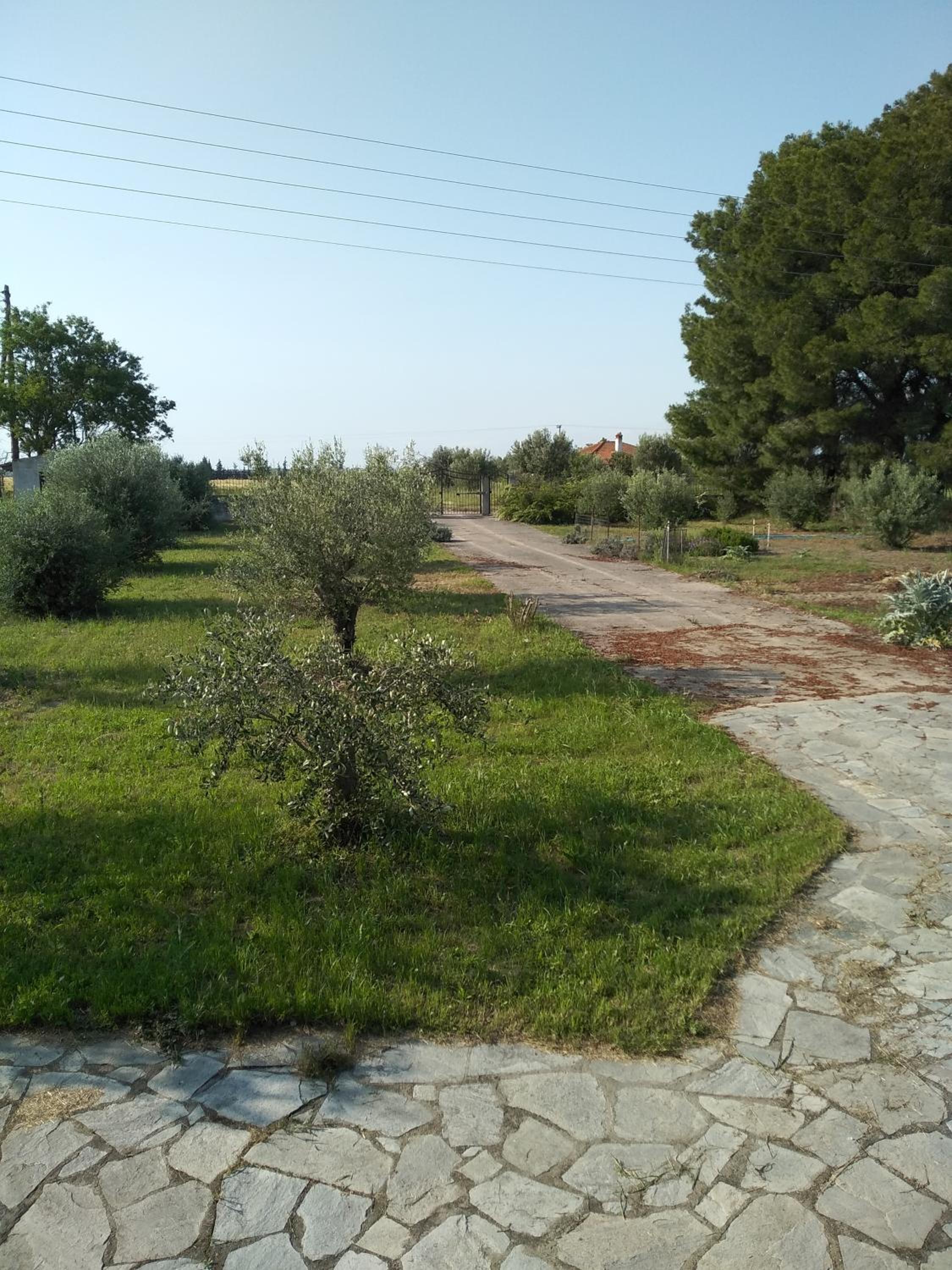 Photo 30