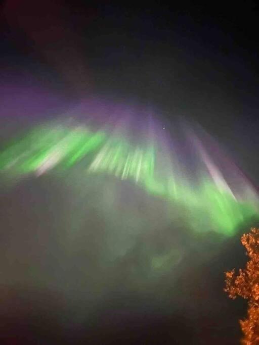 Feriehus med ti senger på Skaidi