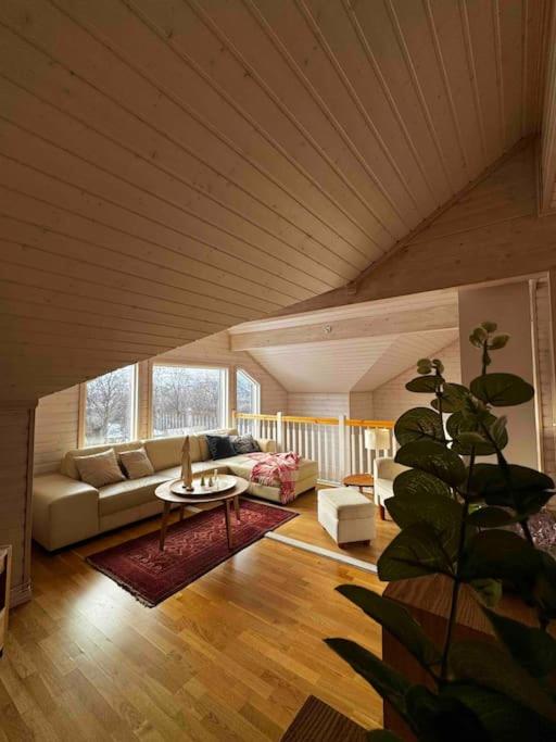 Feriehus med ti senger på Skaidi