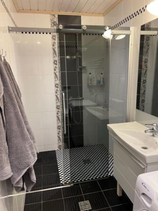 Feriehus med ti senger på Skaidi