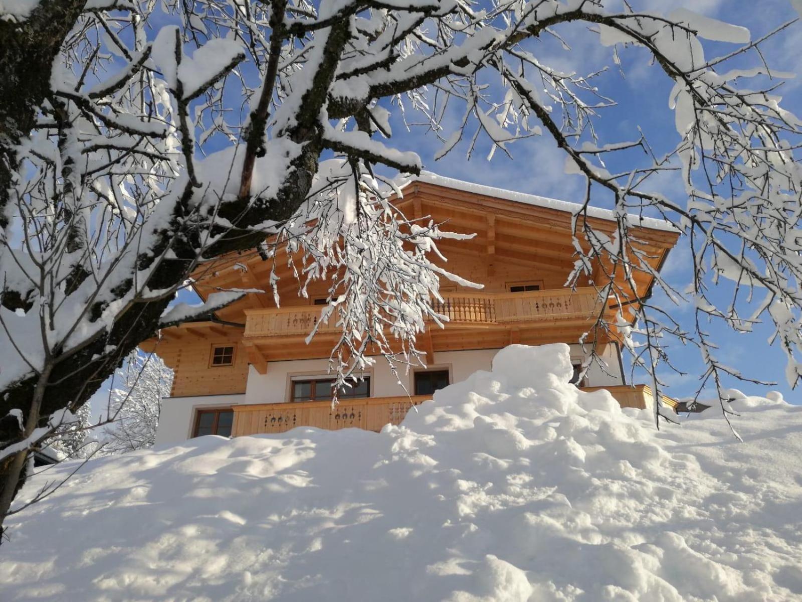 Apartment-Chalet Mödlinghof