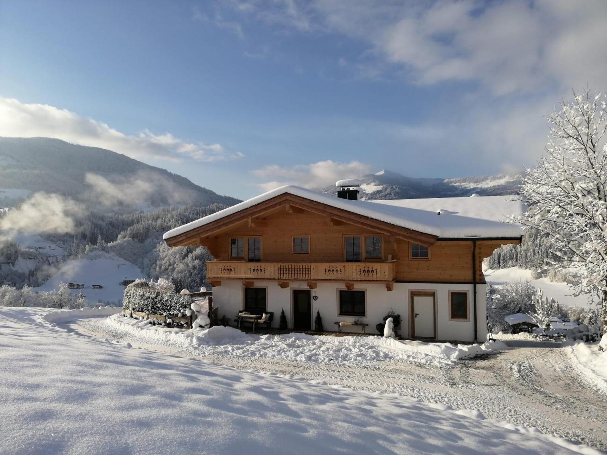 Apartment-Chalet Mödlinghof