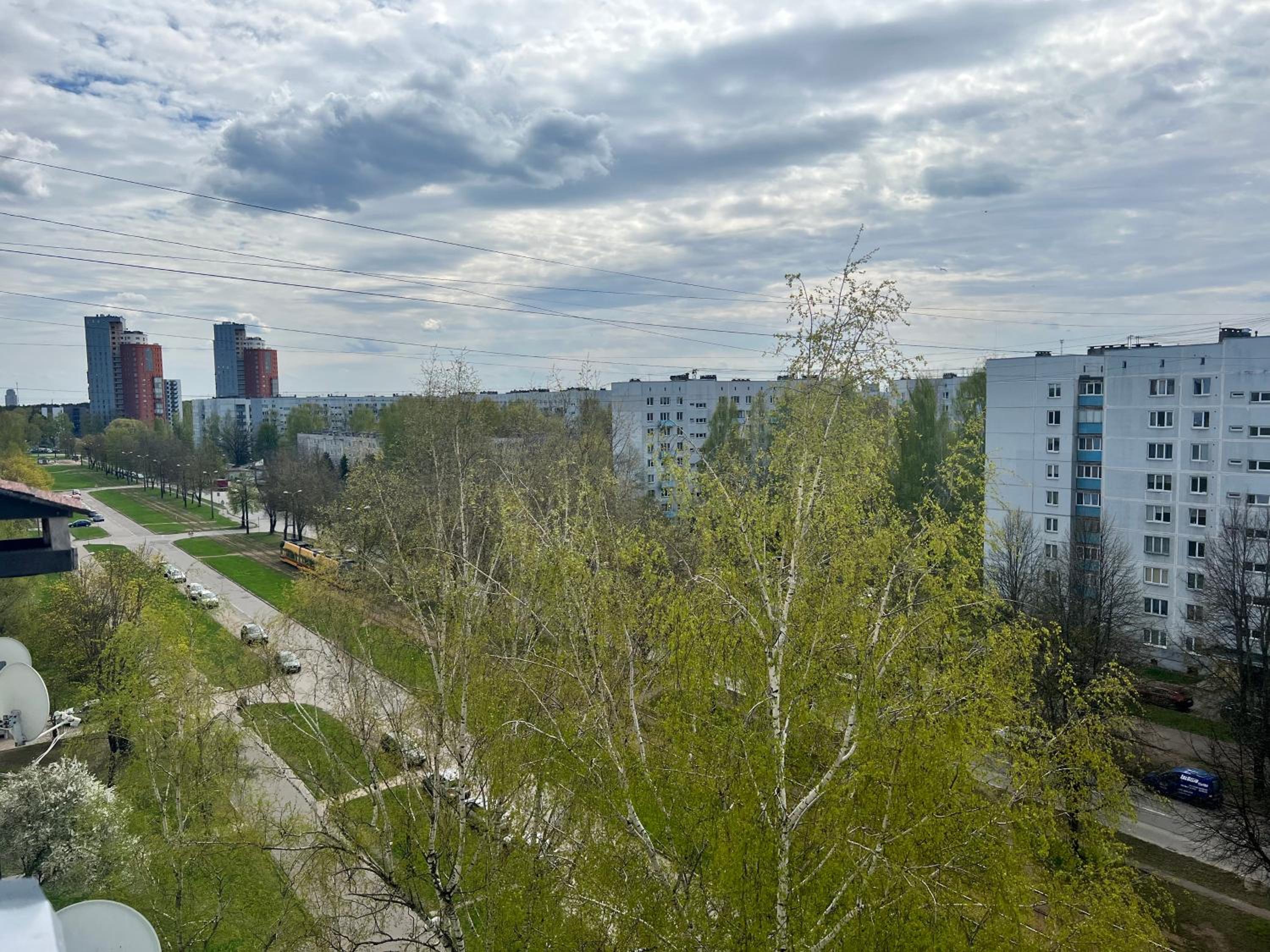 Photo 23
