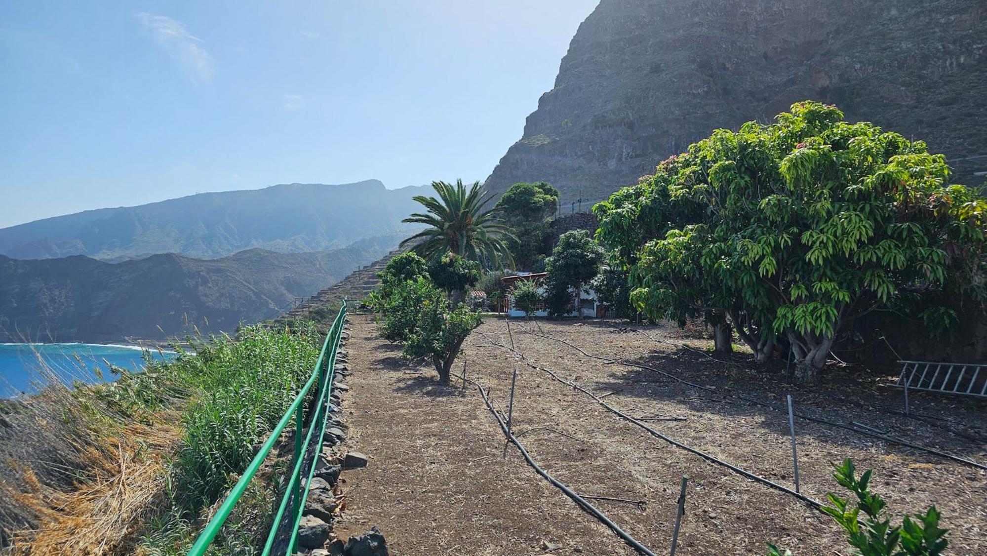 other
