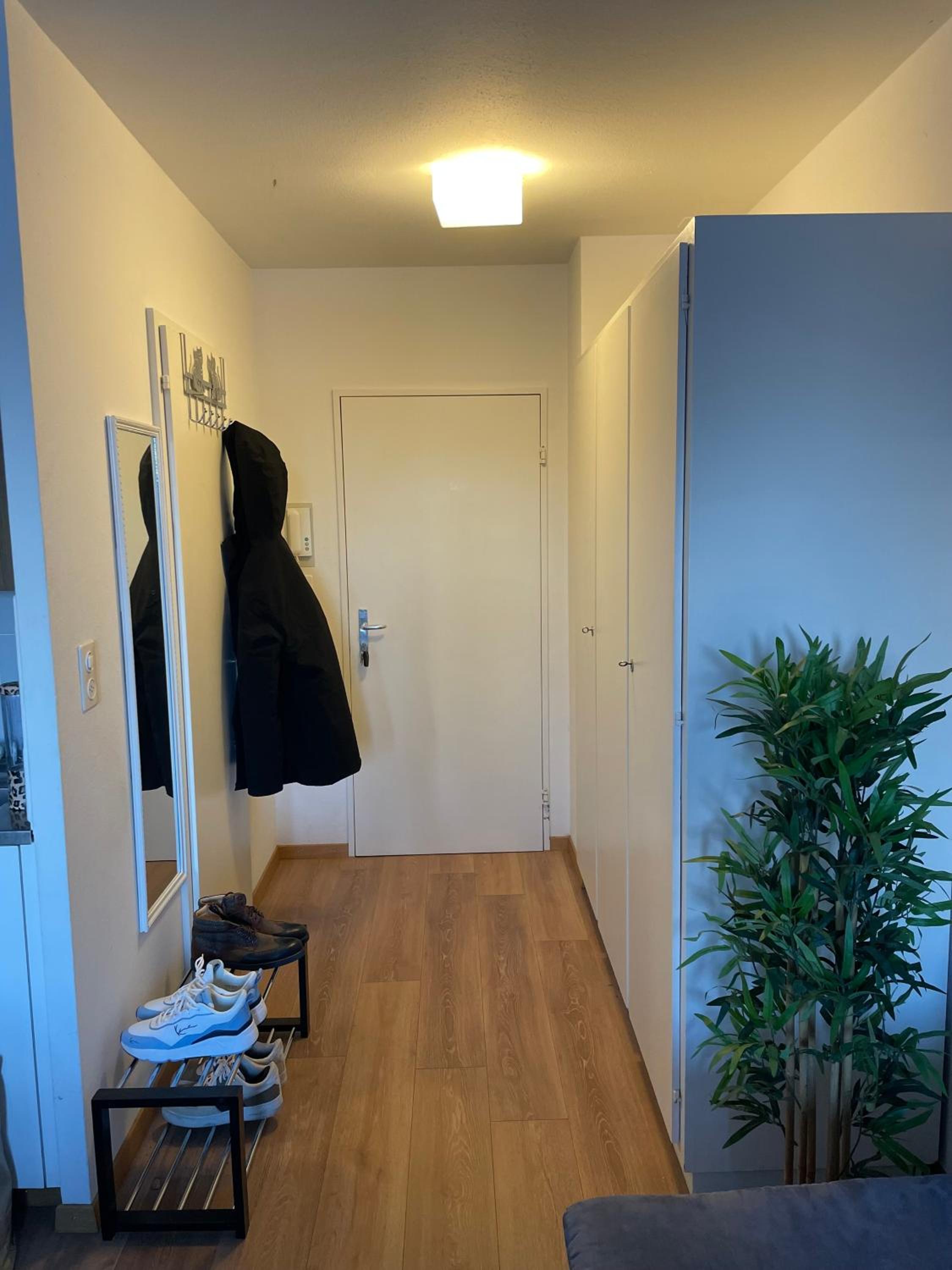Suncatcher Studio