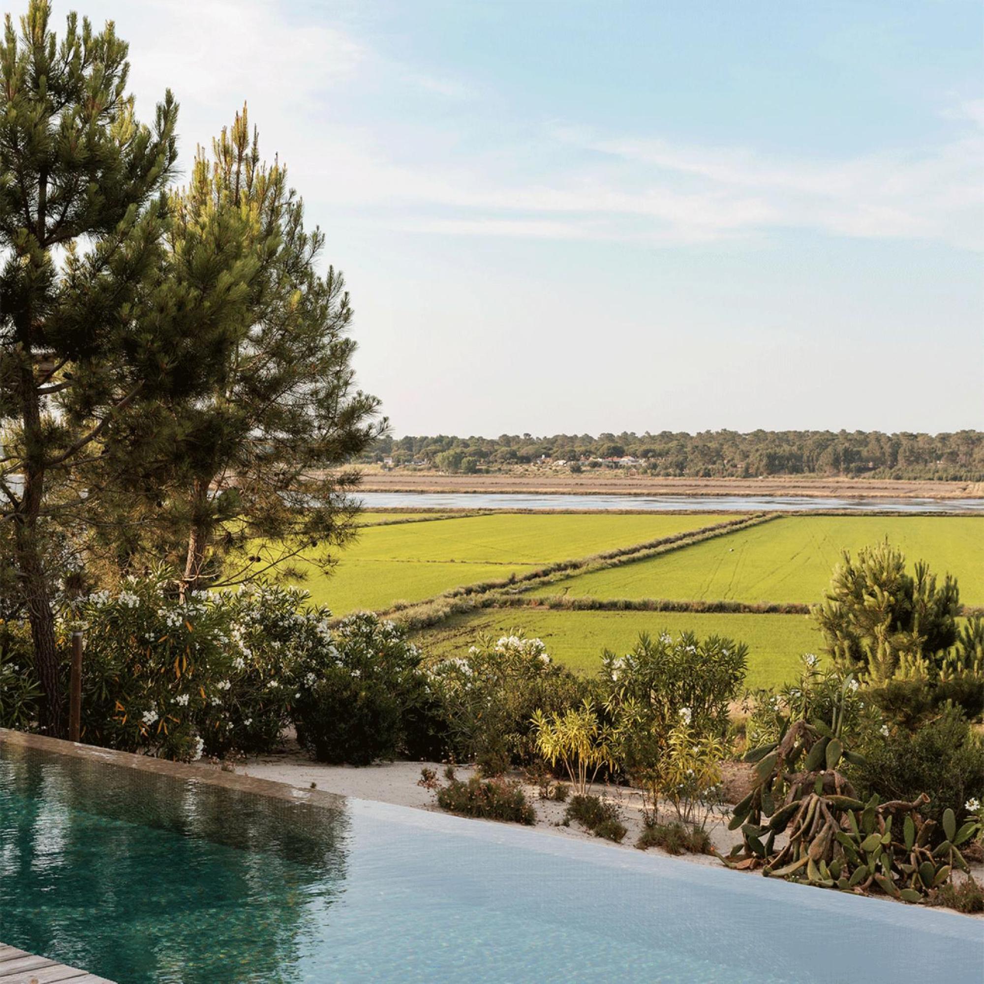 Campo de Arroz view 3