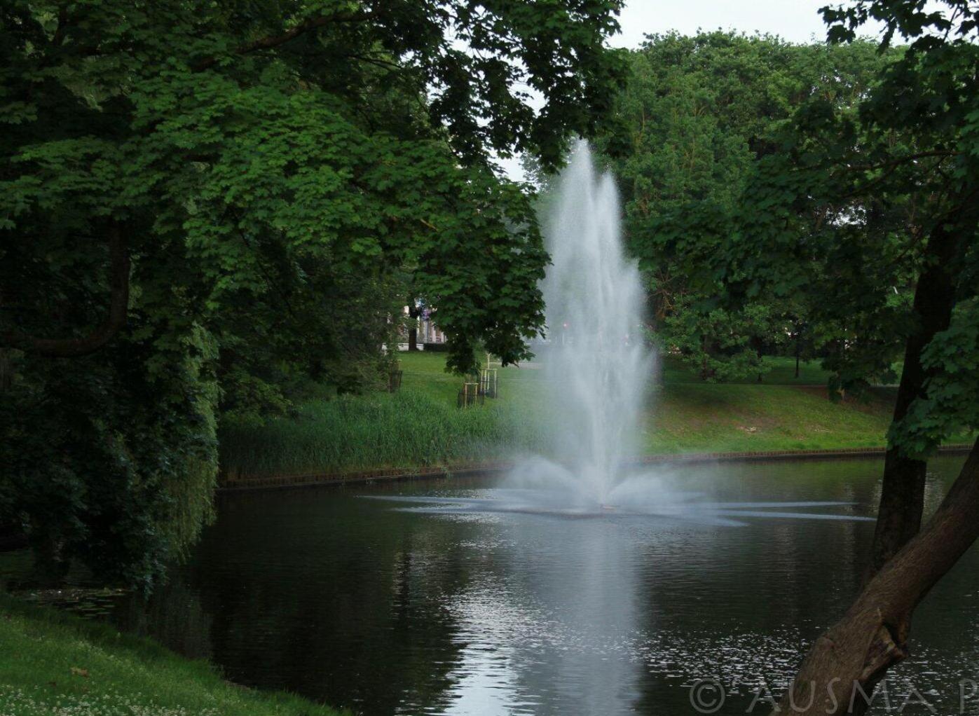 Photo 45