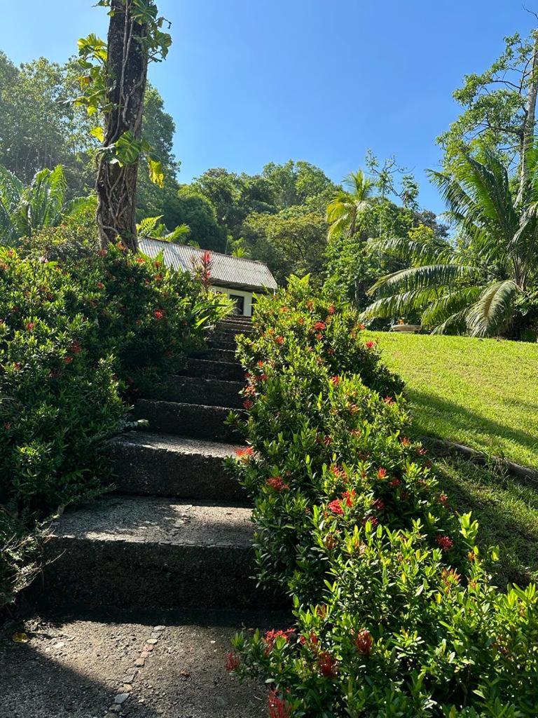 Drake Bay Cabina - ON THE BEACH - La Joyita