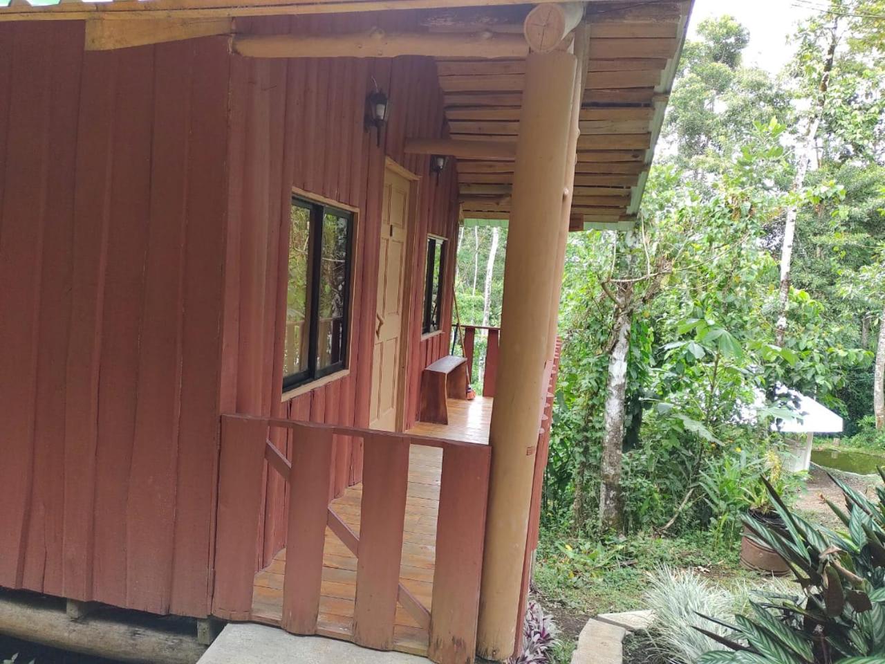 Cabaña De Montaña