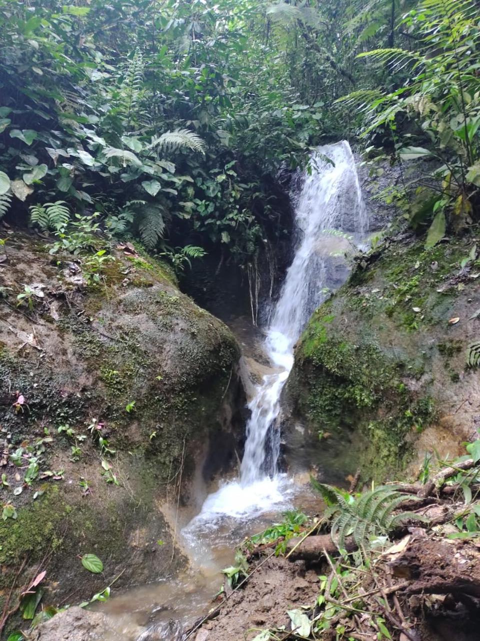 Cabaña De Montaña