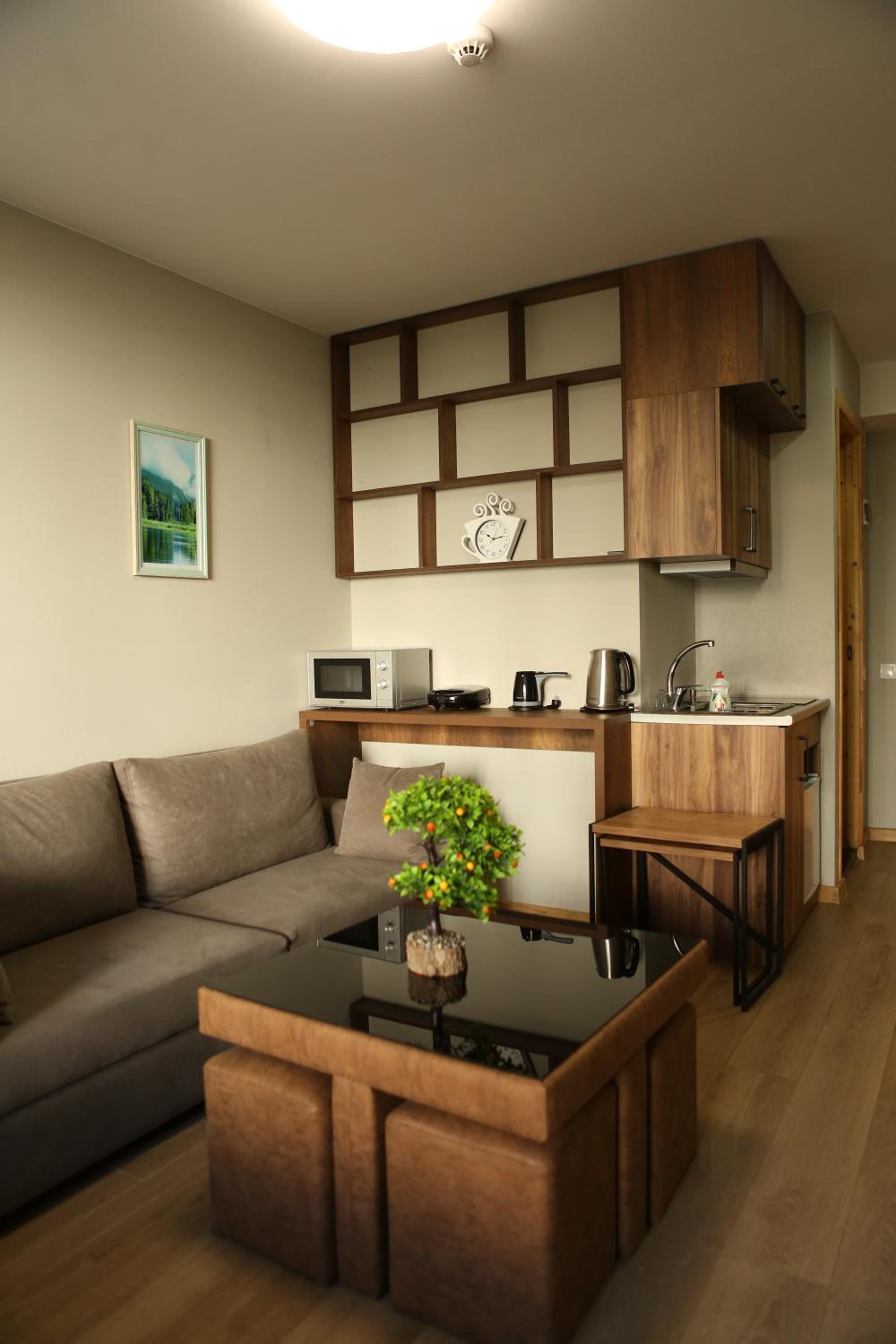 Didveli Apartments 109B view 4