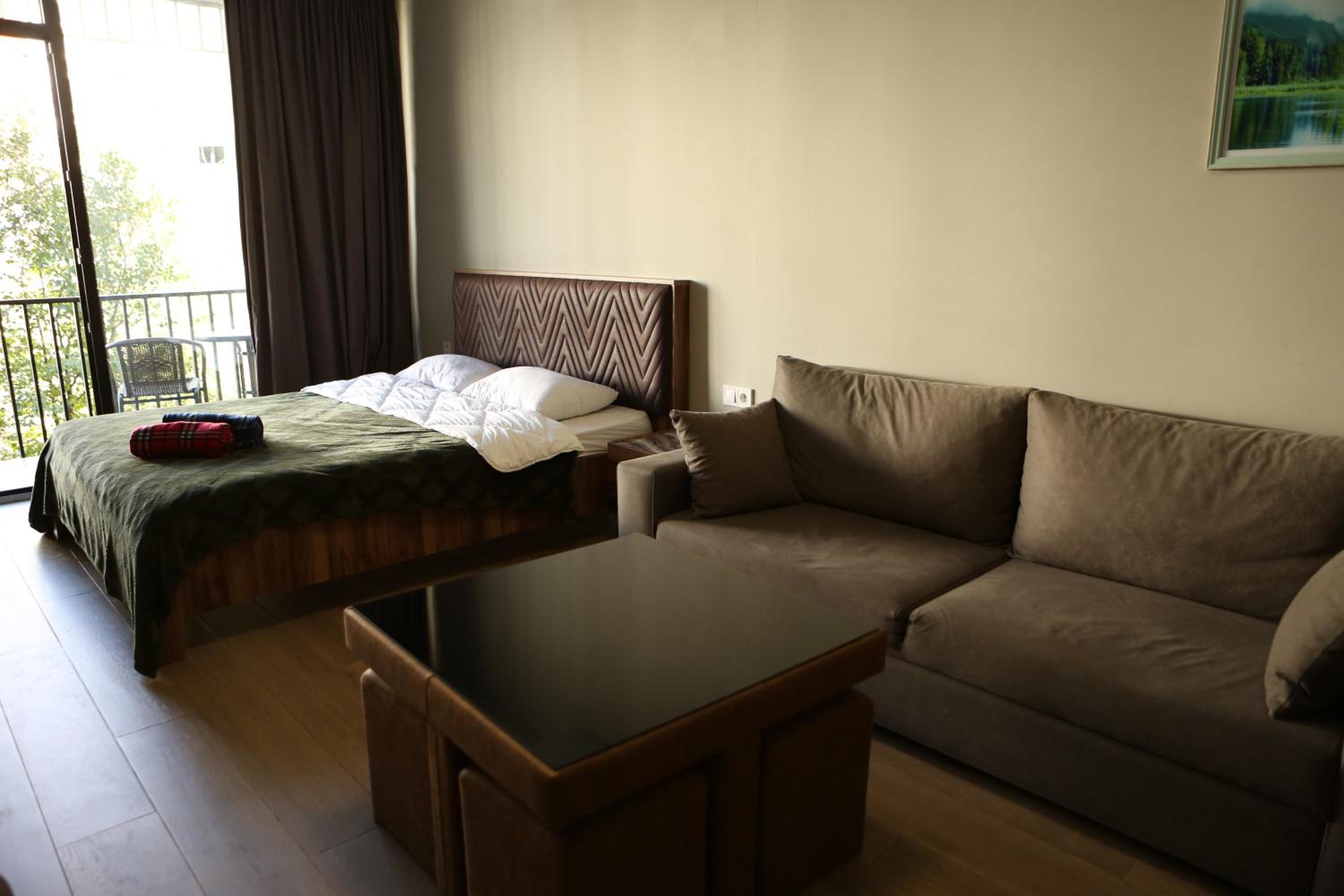 Didveli Apartments 109B view 5