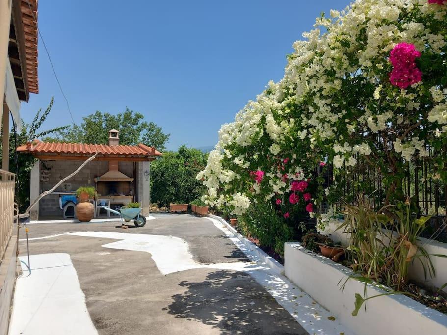 Andreas House
