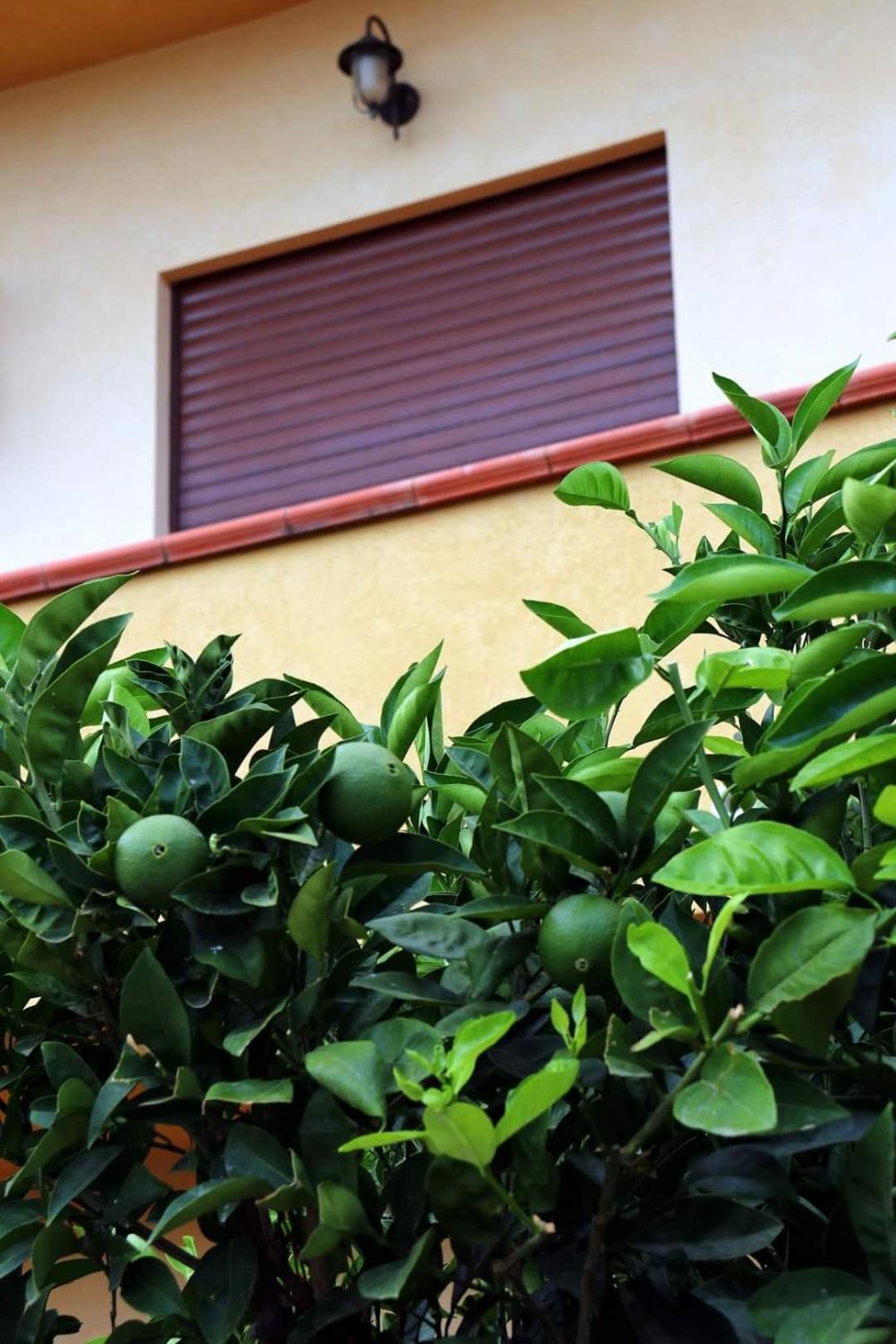 Casa Floriana a San Leone