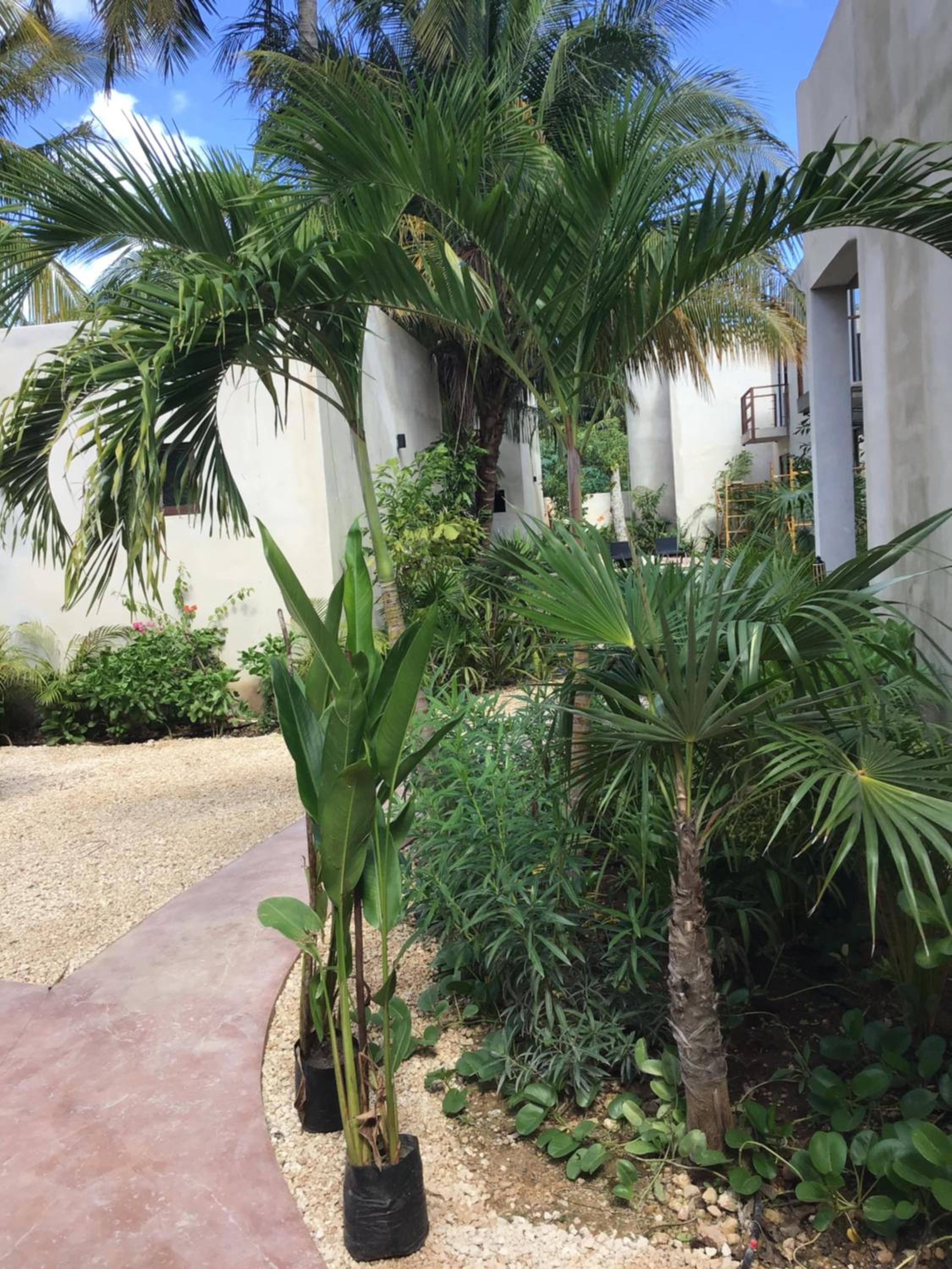 Villa Constantino