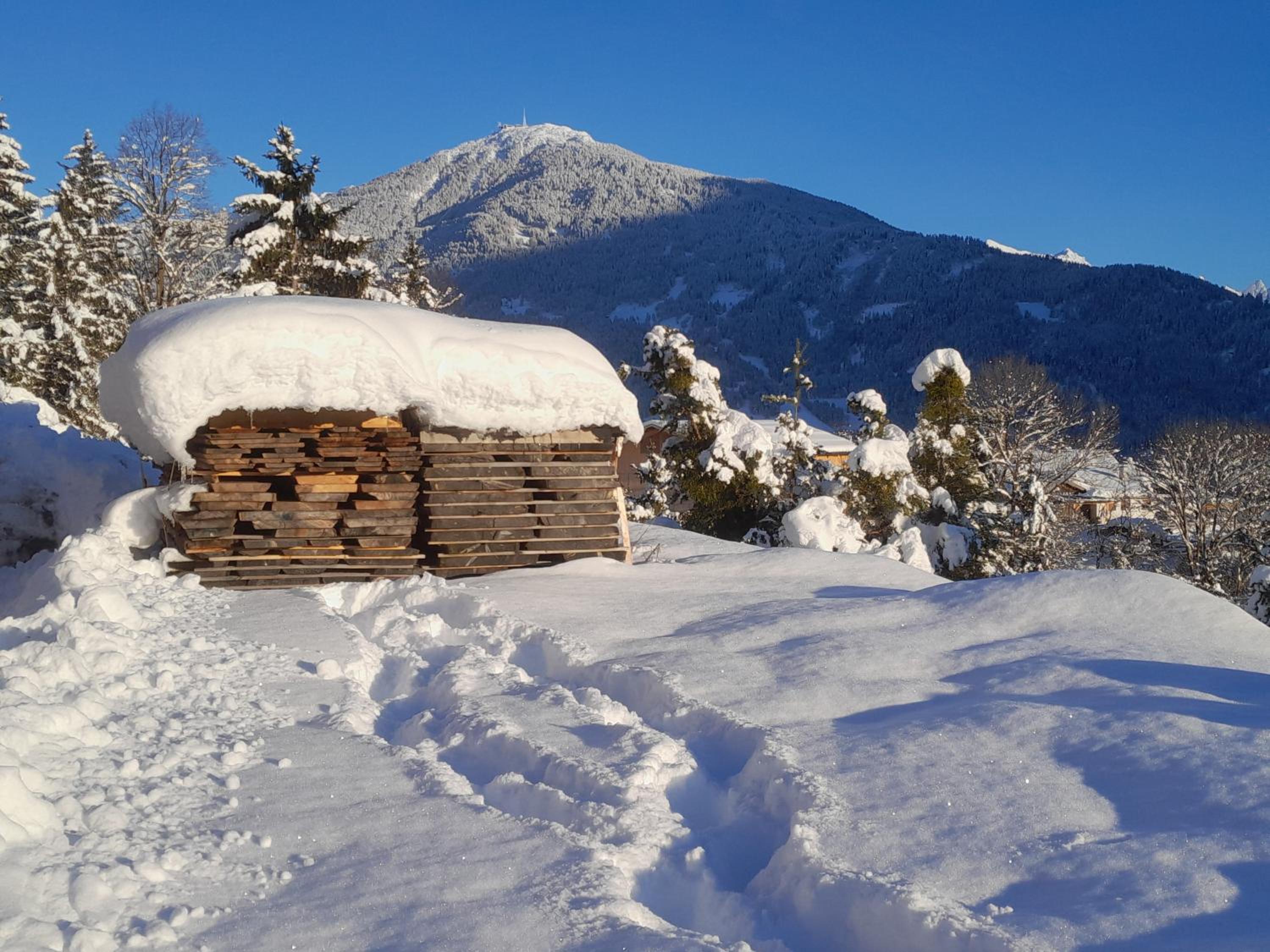 Haus Hotz Apart Talblick