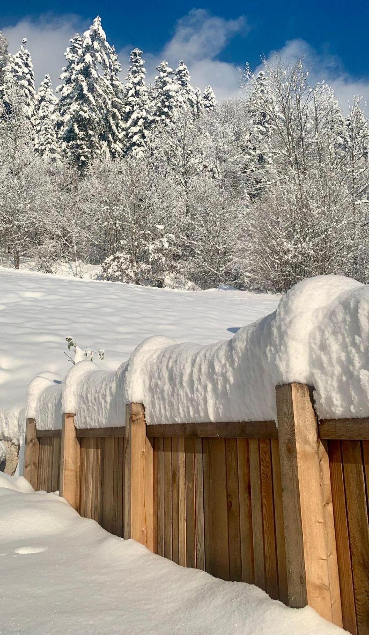 Appartement Naturbunt