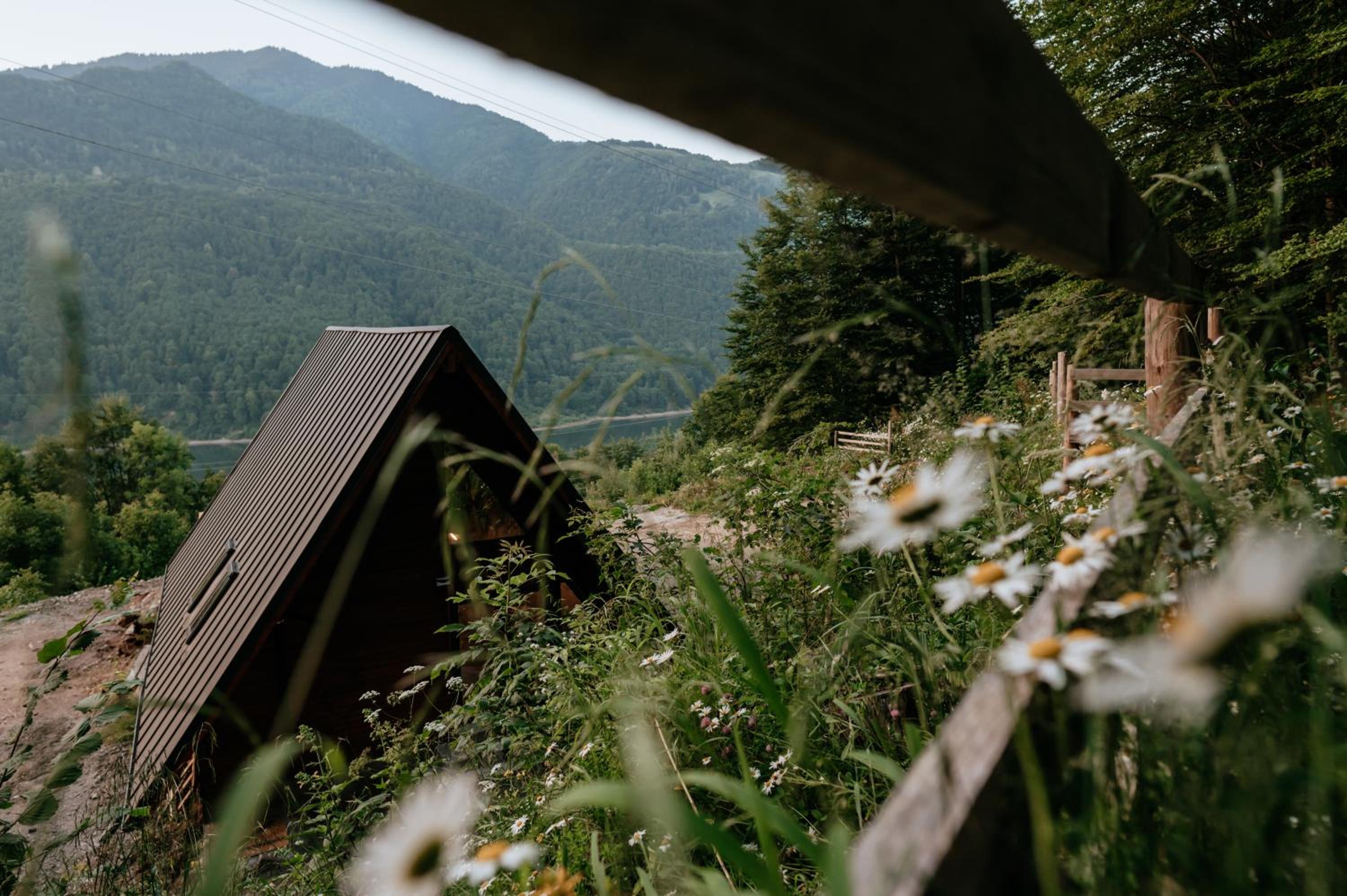 Wild Cabin