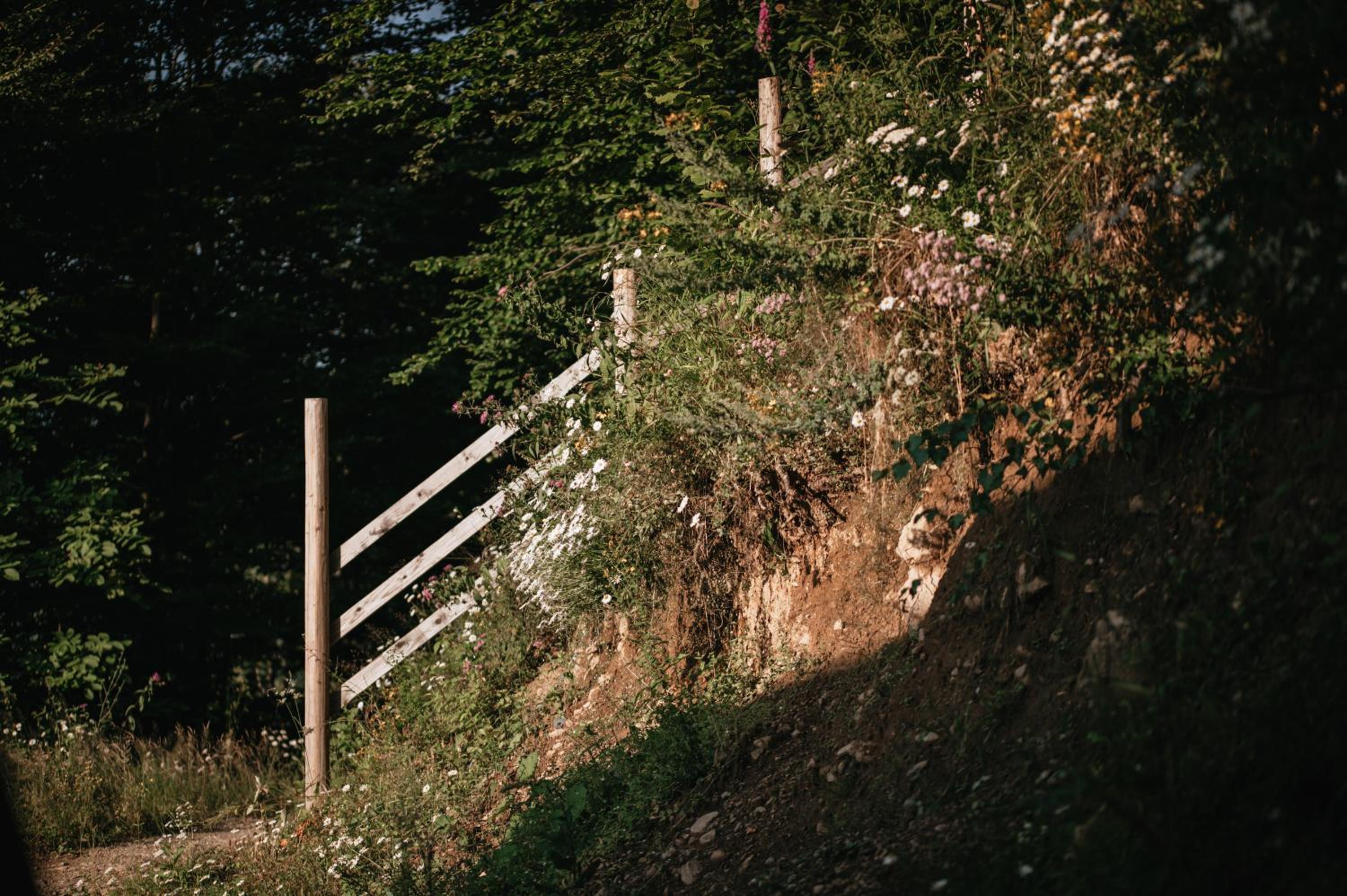 Wild Cabin