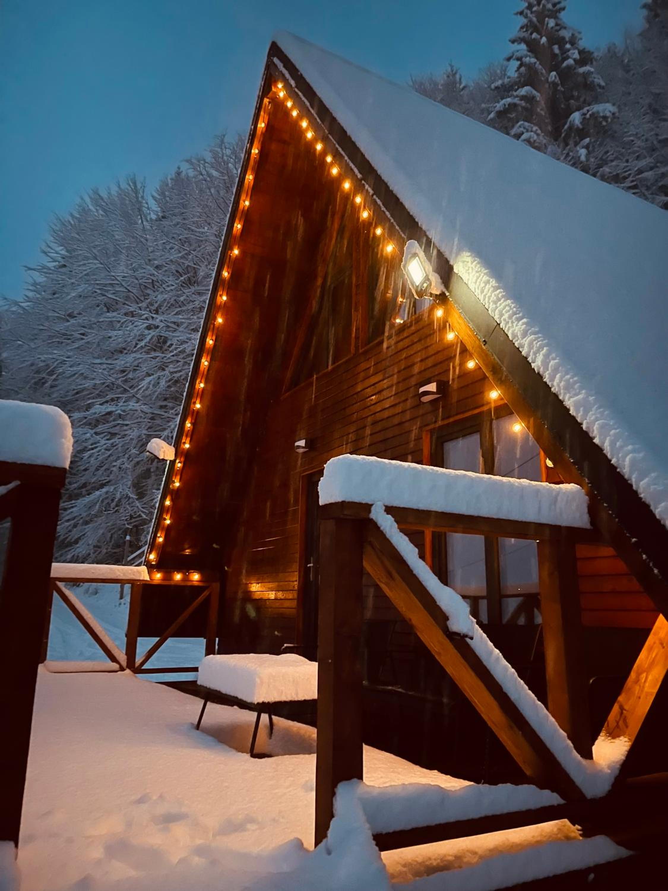 Wild Cabin