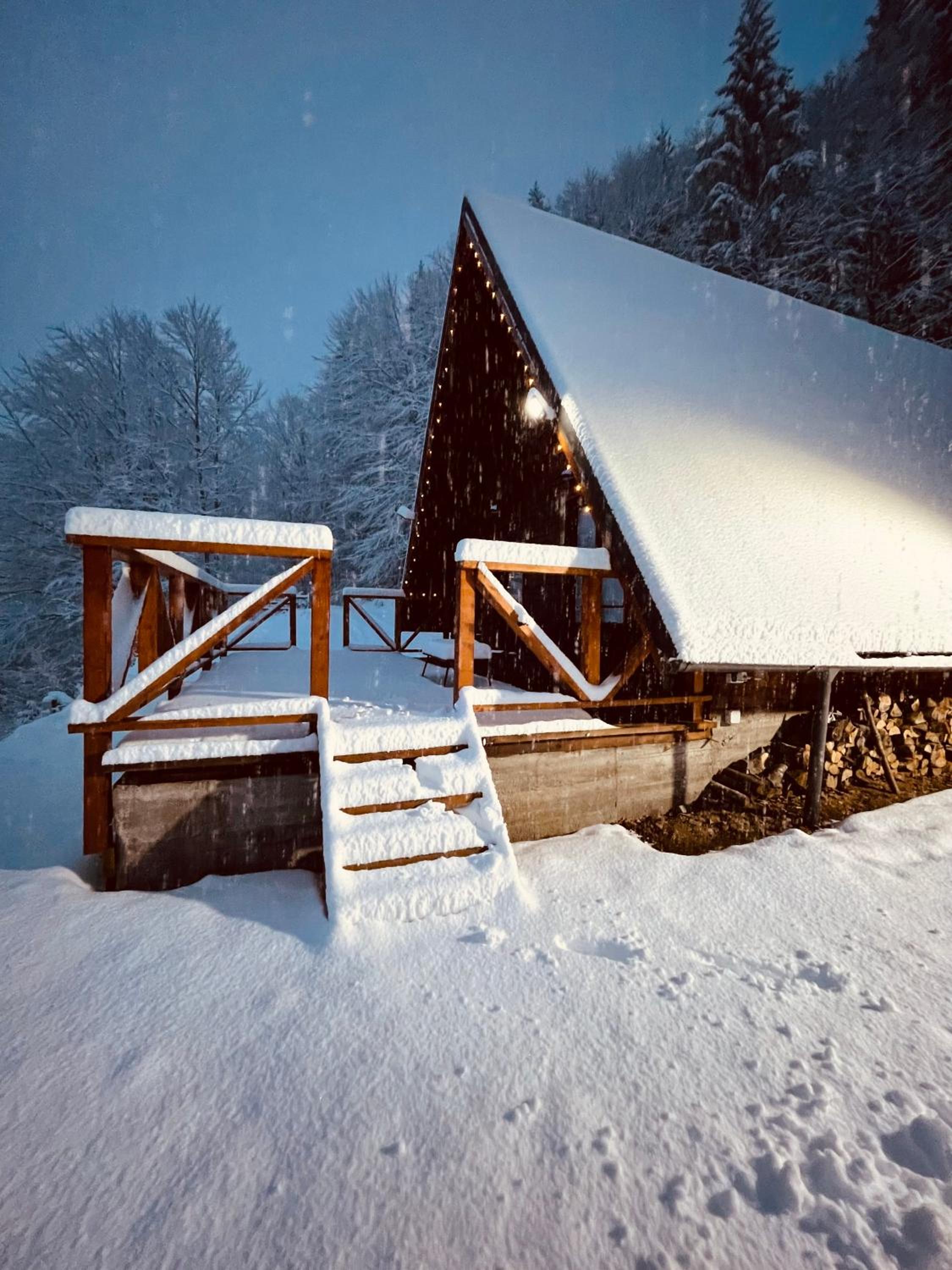 Wild Cabin