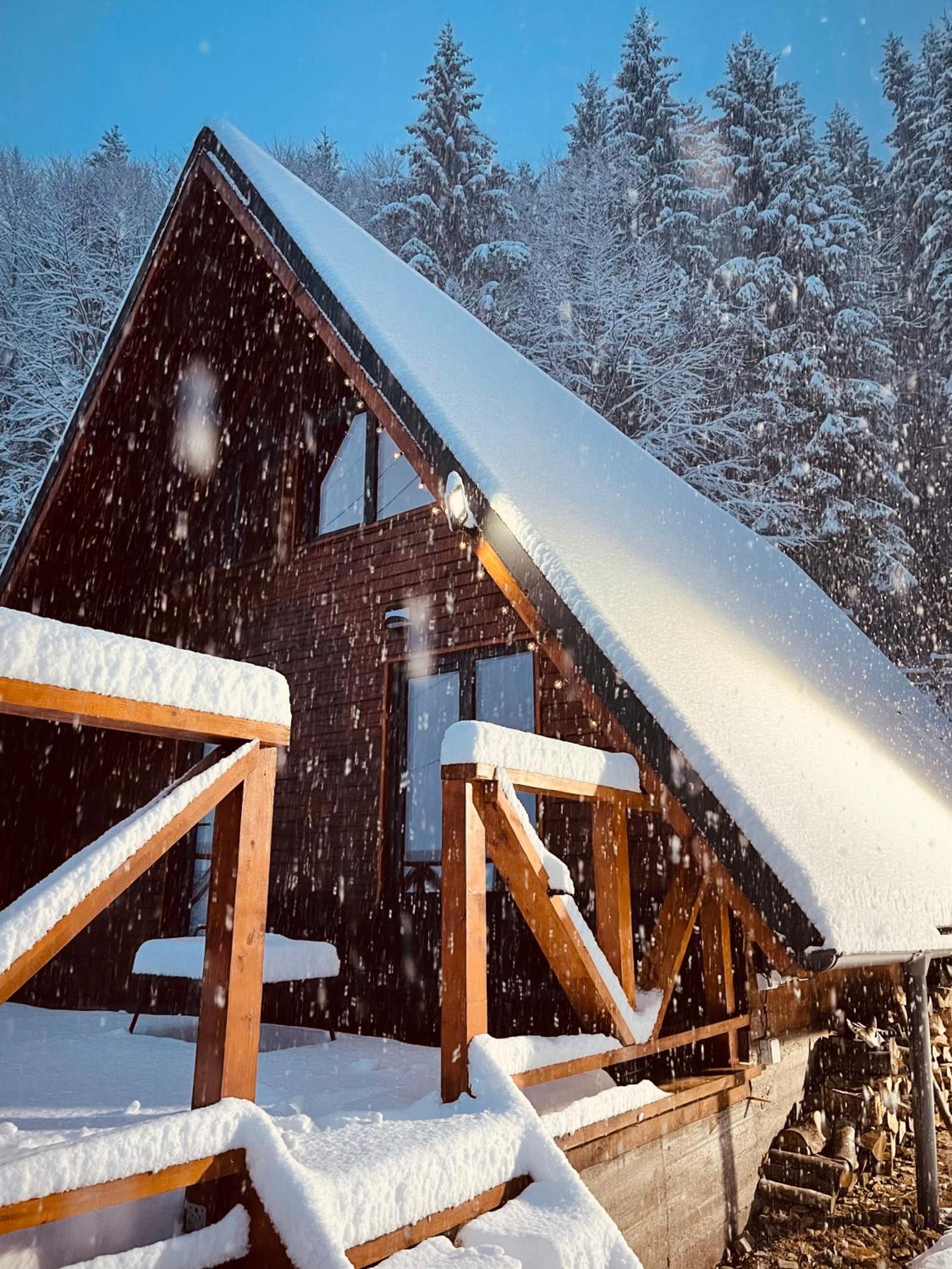 Wild Cabin