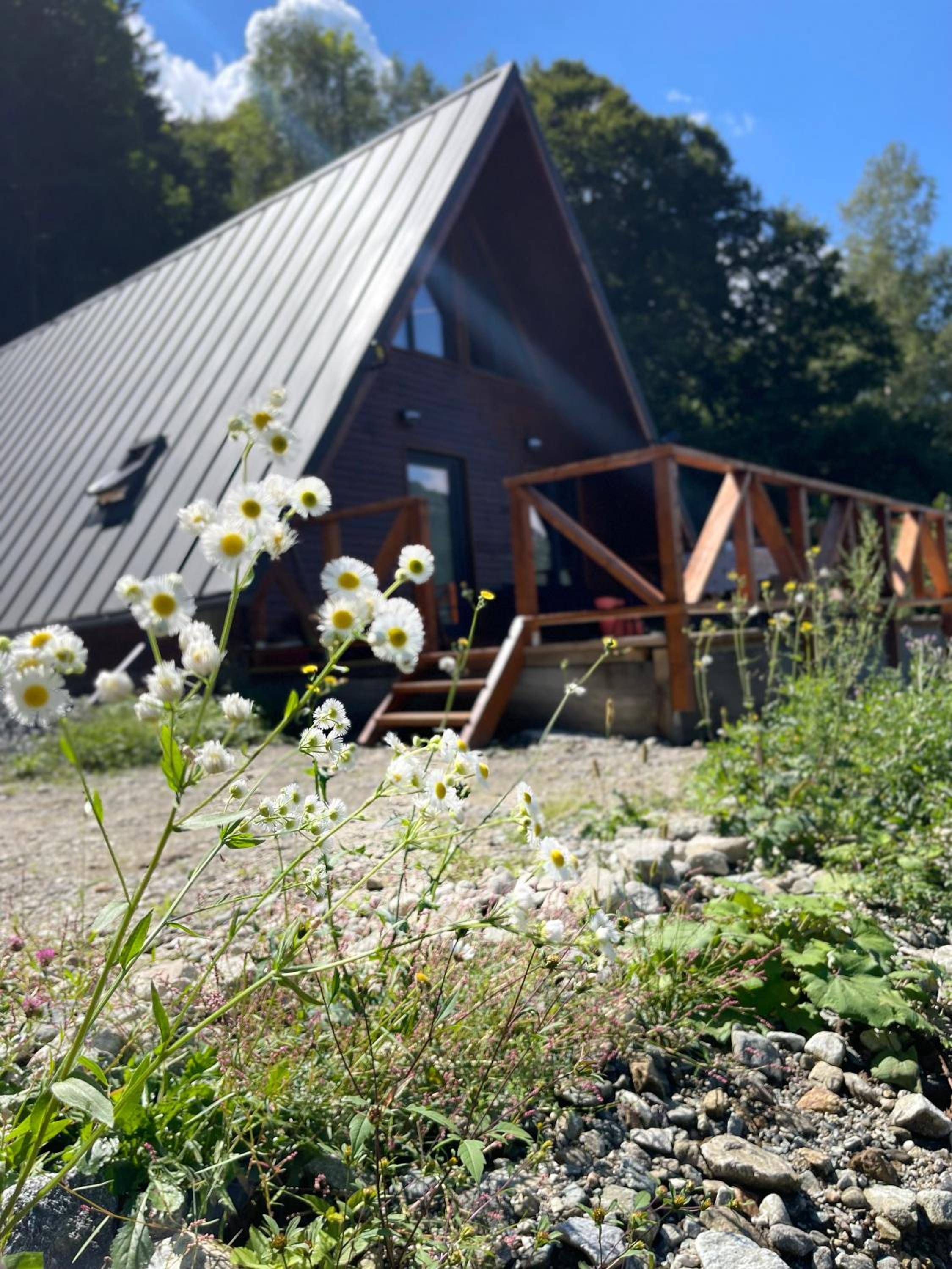 Wild Cabin