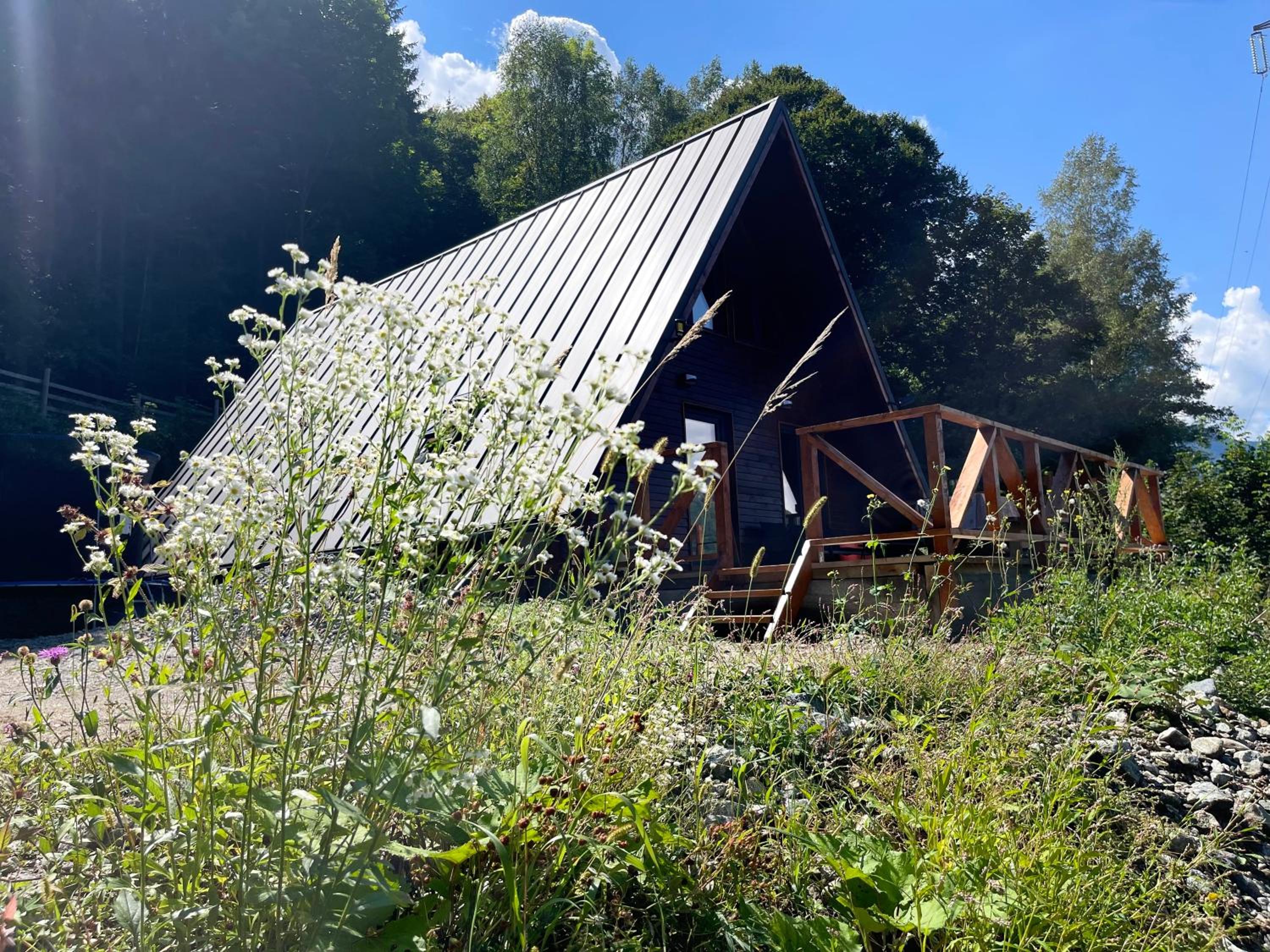 Wild Cabin