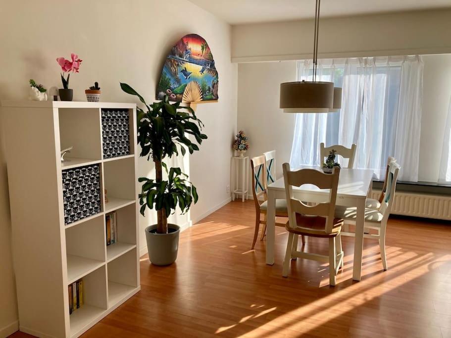 Charming Sunny 100m2 Entire Apartment with 2 bedrooms