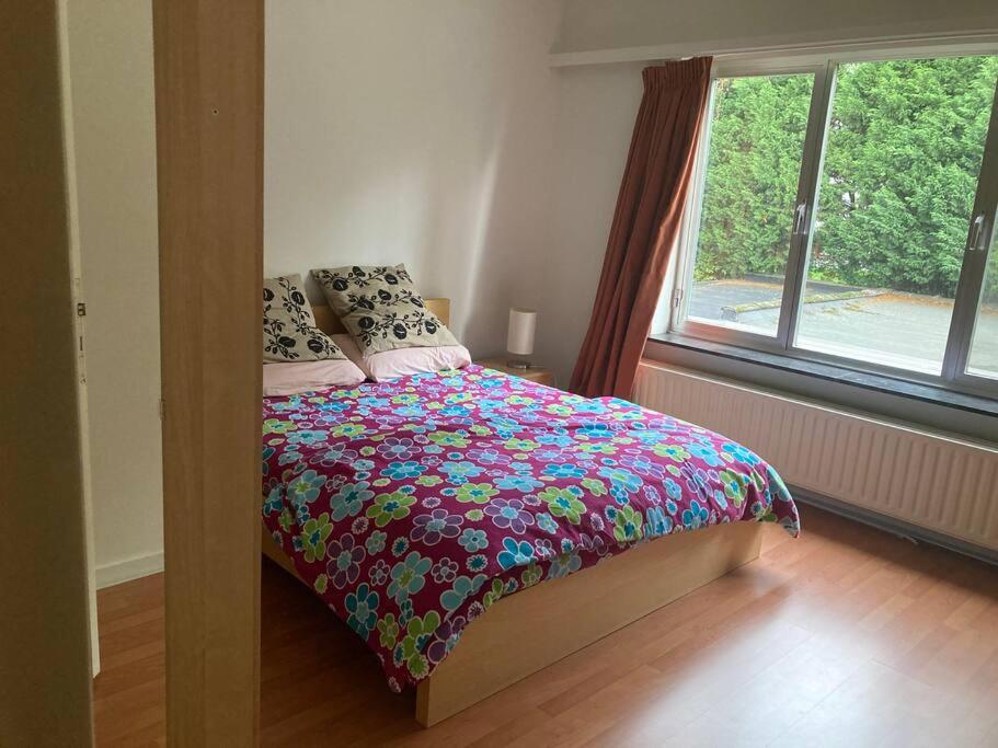 Charming Sunny 100m2 Entire Apartment with 2 bedrooms