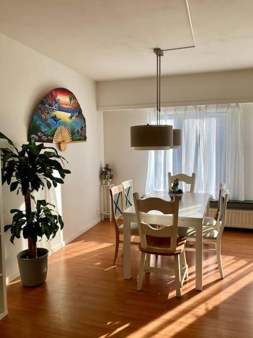 Charming Sunny 100m2 Entire Apartment with 2 bedrooms