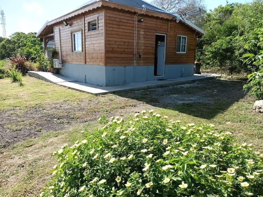 Photo 23