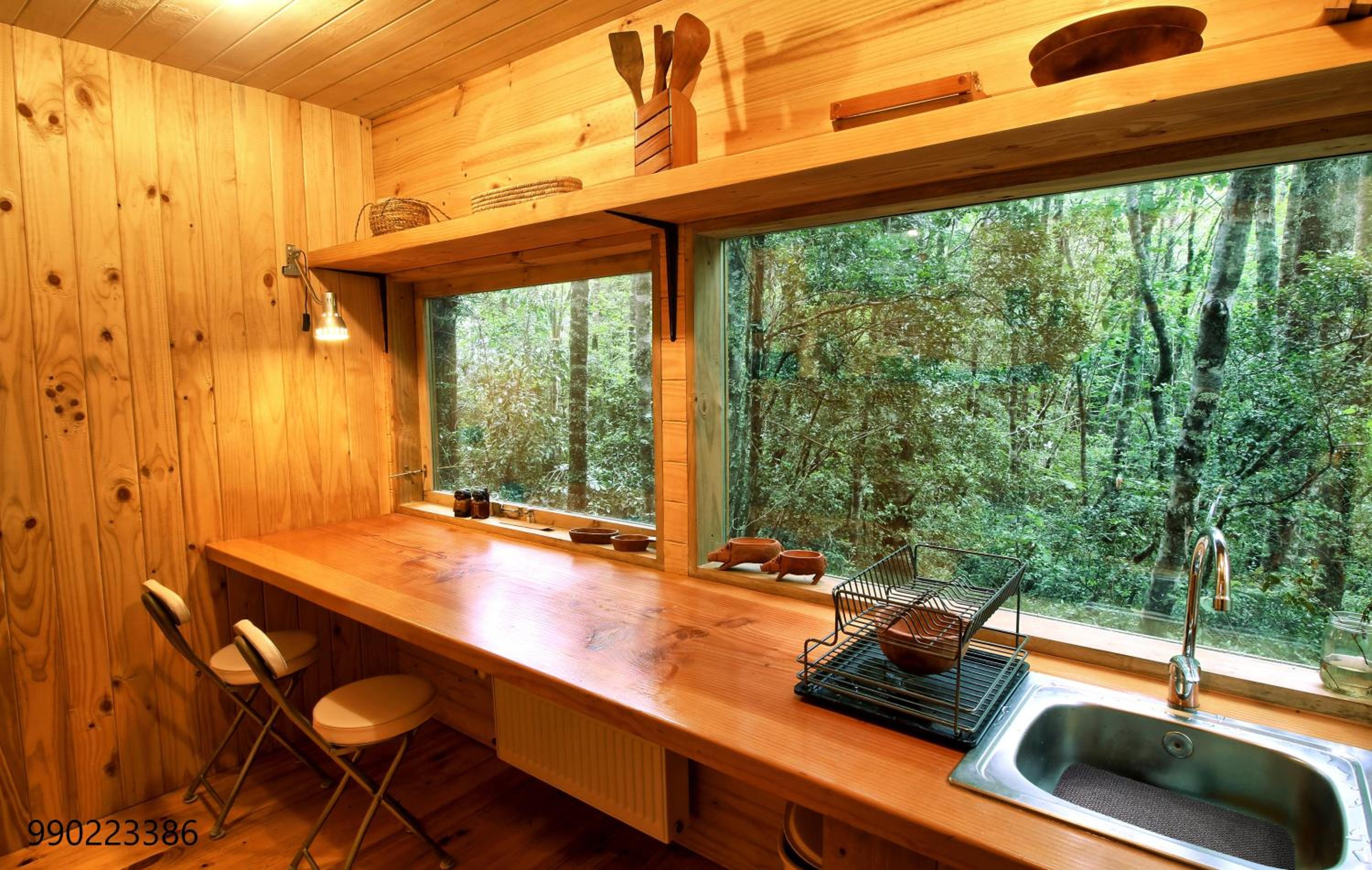 Casita Arbol