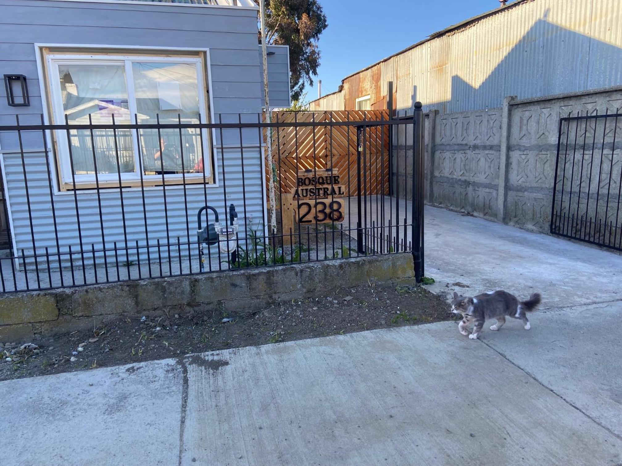 Hotel Cabañas Bosque Austral - Image 1