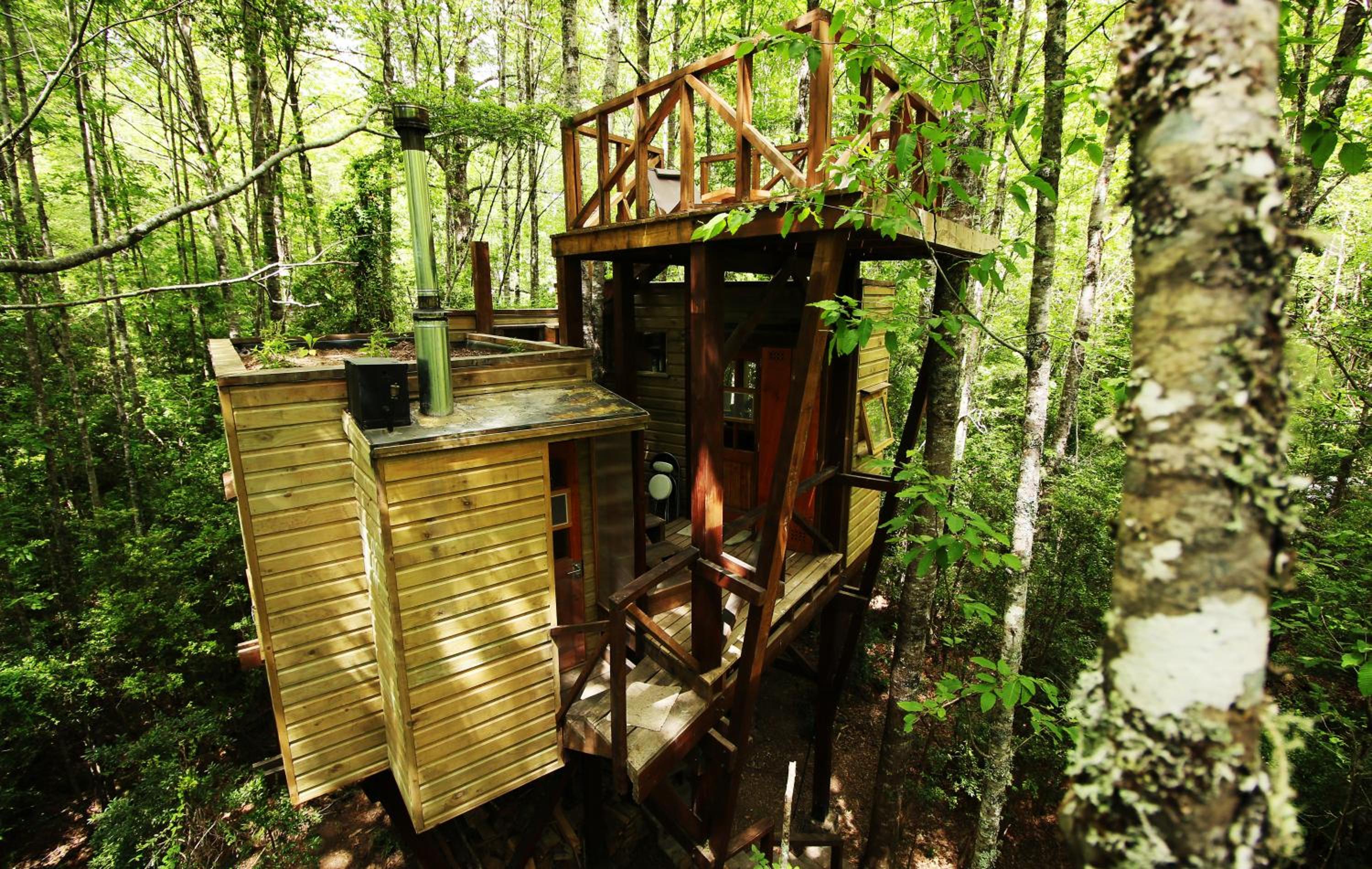 Casita Arbol